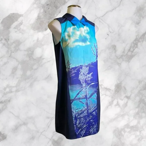 Finders Keepers December Song Shift Dress in Lake Tahoe Print Finders Keepers December Song Shift Dress in Lake Tahoe Print
